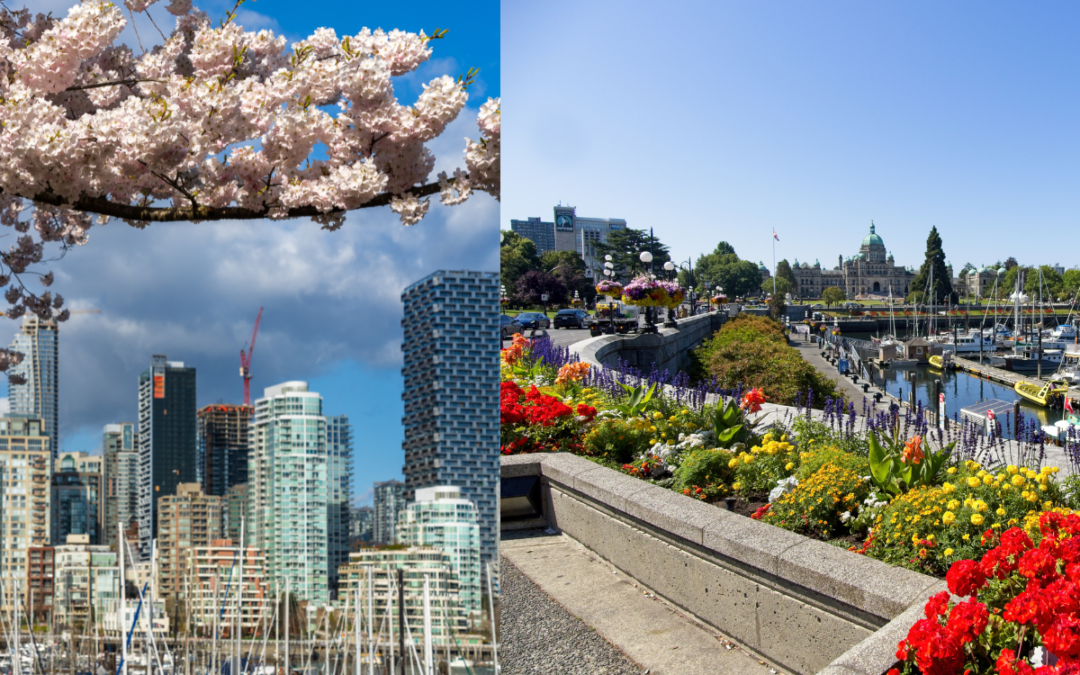 B.C. housing market should rebound, according to Q2 forecast: BCREA